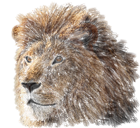 OS X Lion